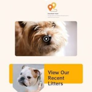 dog-breeder-landing-page-254x1293