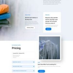 dry-cleaning-landing-page-254x633