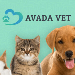 vet_thumbnail-600x450