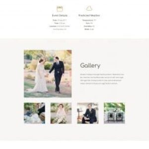 wedding_landing-254x1516